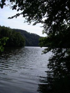 13411974_597907970376430_5528615715548926923_o